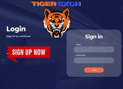 Introduction to Tiger Exchange